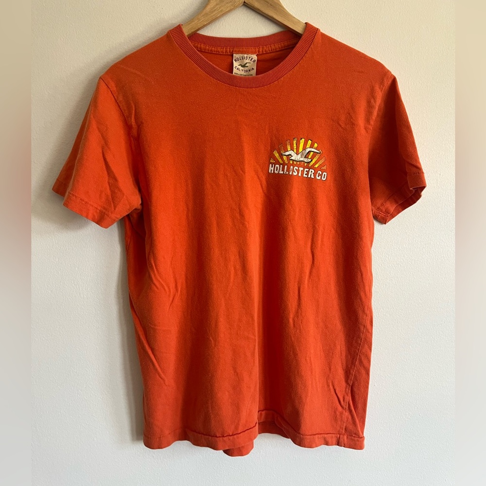 Vintage Hollister T-Shirt / 90s / Surfer Graphic / Medium / Single Stitch